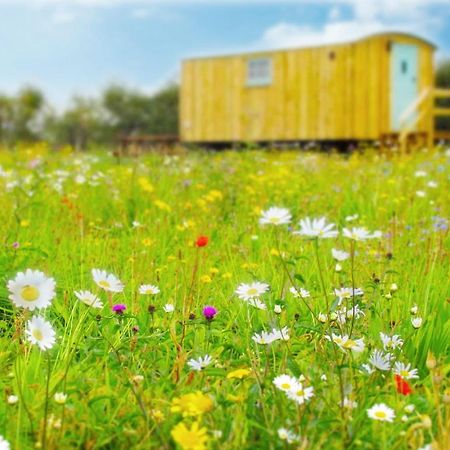 Honeysuckle Farm Holidays By Stay In Suffolk, Monk Soham ウッドブリッジ エクステリア 写真