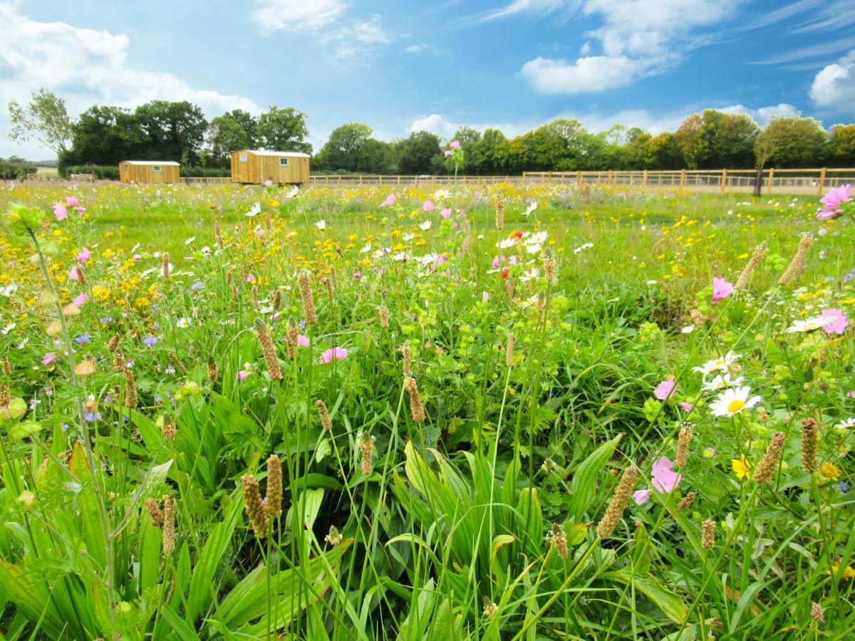 Honeysuckle Farm Holidays By Stay In Suffolk, Monk Soham ウッドブリッジ エクステリア 写真