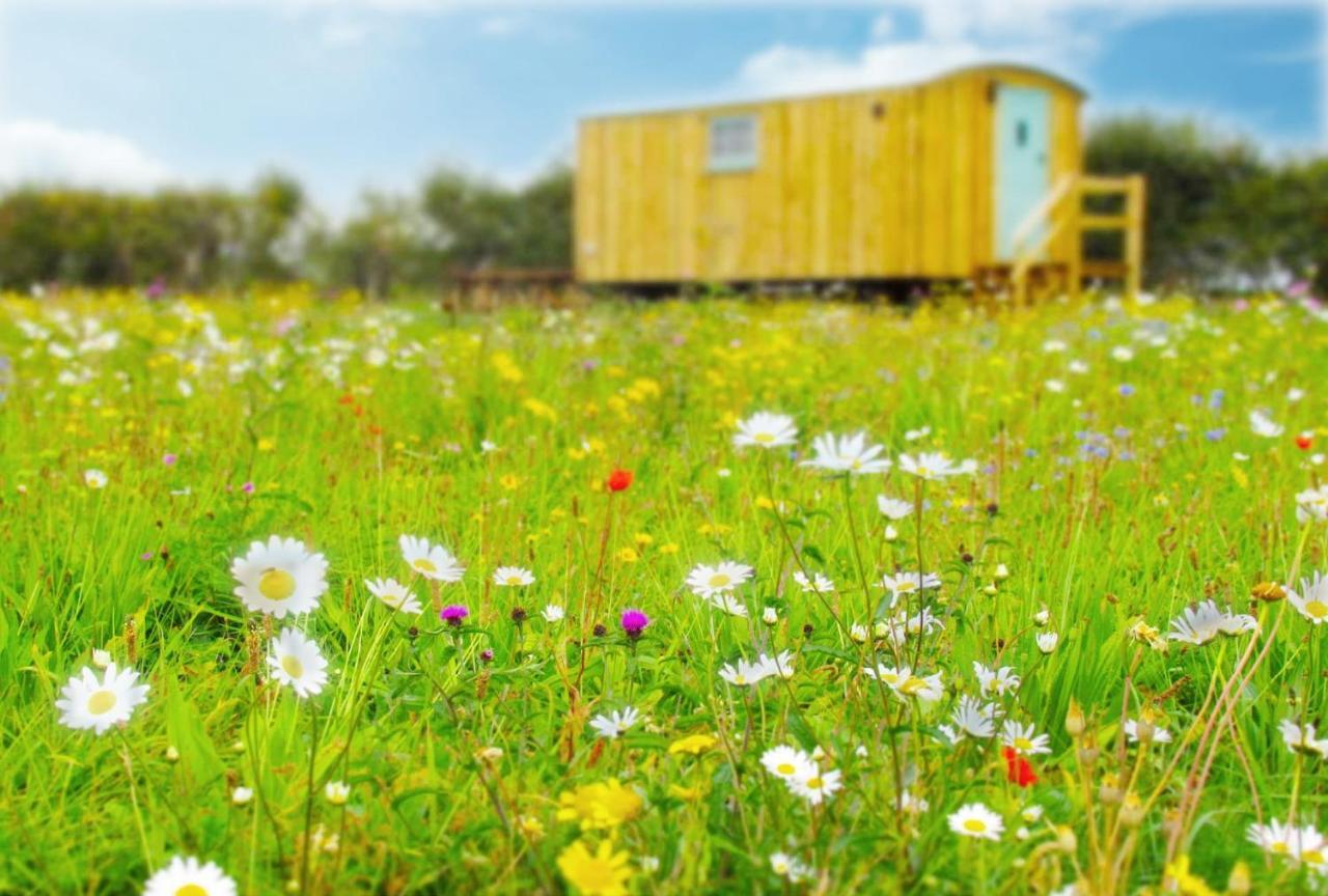 Honeysuckle Farm Holidays By Stay In Suffolk, Monk Soham ウッドブリッジ エクステリア 写真
